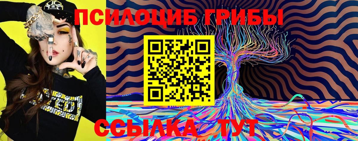 Псилоцибиновые грибы мухоморы Алапаевск