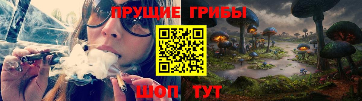 Галлюциногенные грибы мухоморы  где купить наркоту  Алапаевск  Вход с VPN 